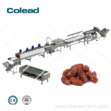 Sukkari Dates Grading Machine Processing Line